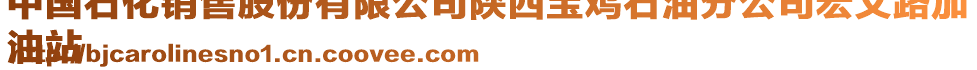 中國(guó)石化銷售股份有限公司陜西寶雞石油分公司宏文路加
油站