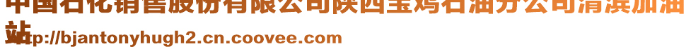 中國石化銷售股份有限公司陜西寶雞石油分公司渭濱加油
站