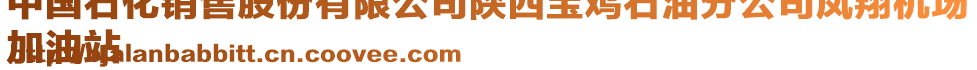 中國(guó)石化銷售股份有限公司陜西寶雞石油分公司鳳翔機(jī)場(chǎng)
加油站