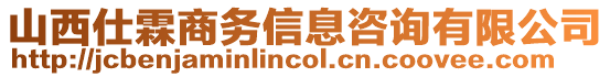 山西仕霖商務(wù)信息咨詢有限公司