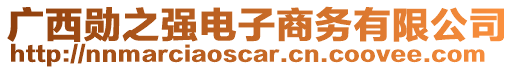 廣西勛之強(qiáng)電子商務(wù)有限公司