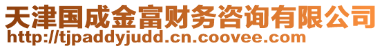 天津國(guó)成金富財(cái)務(wù)咨詢有限公司