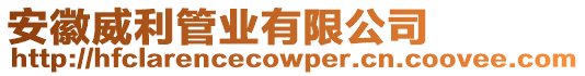 安徽威利管業有限公司