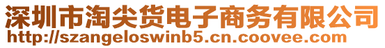 深圳市淘尖貨電子商務有限公司