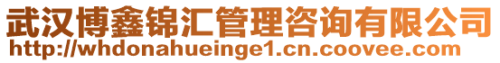 武漢博鑫錦匯管理咨詢有限公司