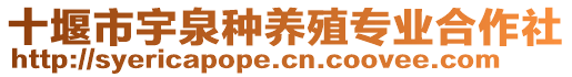 十堰市宇泉種養(yǎng)殖專業(yè)合作社