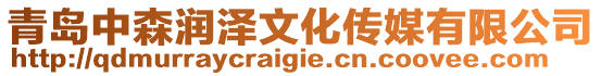 青島中森潤澤文化傳媒有限公司