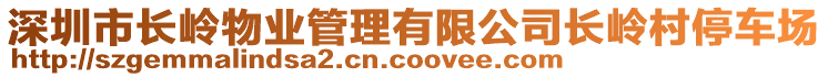 深圳市長嶺物業(yè)管理有限公司長嶺村停車場