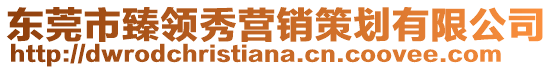 東莞市臻領秀營銷策劃有限公司