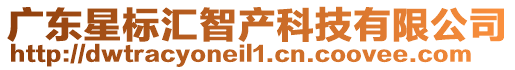 廣東星標(biāo)匯智產(chǎn)科技有限公司