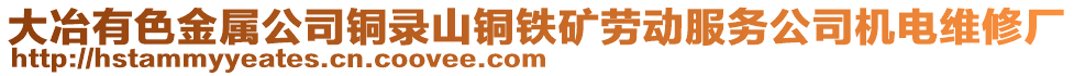 大冶有色金屬公司銅錄山銅鐵礦勞動服務公司機電維修廠