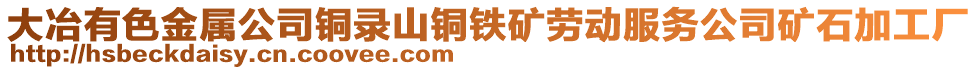 大冶有色金屬公司銅錄山銅鐵礦勞動(dòng)服務(wù)公司礦石加工廠