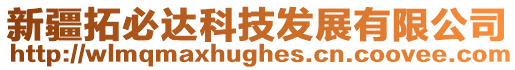 新疆拓必達科技發展有限公司