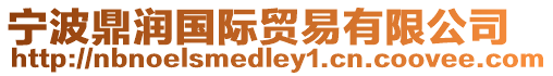 寧波鼎潤國際貿易有限公司