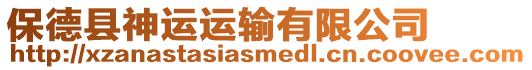 保德縣神運(yùn)運(yùn)輸有限公司