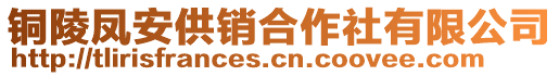 銅陵鳳安供銷合作社有限公司