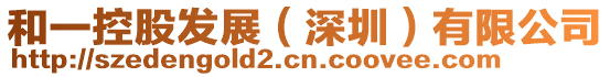和一控股發展(深圳)有限公司