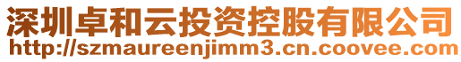 深圳卓和云投資控股有限公司