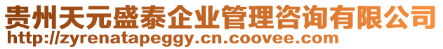 貴州天元盛泰企業管理咨詢有限公司