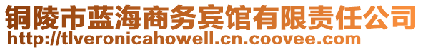 銅陵市藍海商務賓館有限責任公司