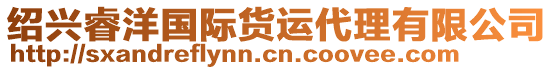 紹興睿洋國(guó)際貨運(yùn)代理有限公司