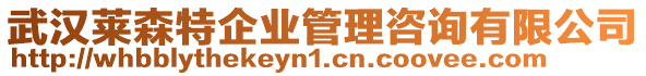 武漢萊森特企業(yè)管理咨詢有限公司