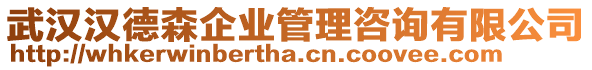 武漢漢德森企業(yè)管理咨詢有限公司