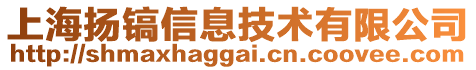 上海揚鎬信息技術有限公司