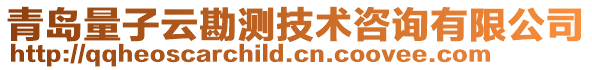 青島量子云勘測技術咨詢有限公司