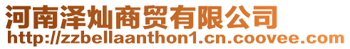 河南澤燦商貿有限公司