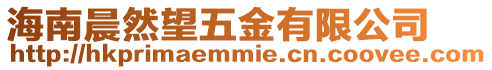 海南晨然望五金有限公司
