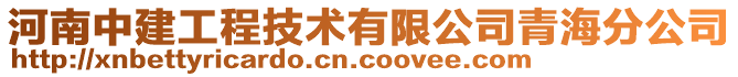 河南中建工程技術(shù)有限公司青海分公司