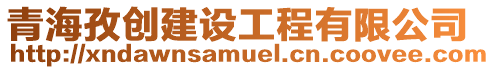 青海孜創(chuàng)建設(shè)工程有限公司