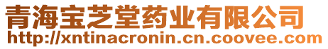 青海寶芝堂藥業(yè)有限公司