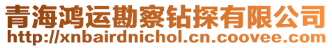 青海鴻運勘察鉆探有限公司