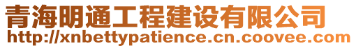 青海明通工程建設(shè)有限公司