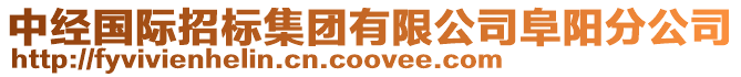 中經國際招標集團有限公司阜陽分公司