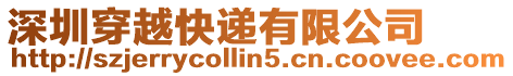 深圳穿越快遞有限公司