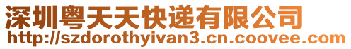 深圳粵天天快遞有限公司