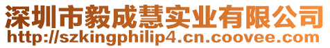 深圳市毅成慧實(shí)業(yè)有限公司