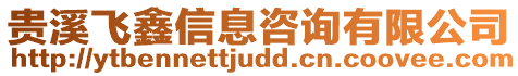 貴溪飛鑫信息咨詢有限公司