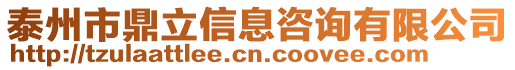 泰州市鼎立信息咨詢有限公司