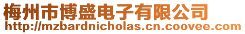 梅州市博盛電子有限公司