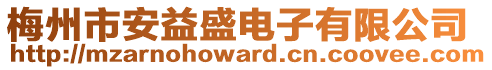 梅州市安益盛電子有限公司
