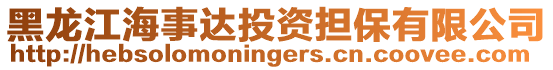 黑龍江海事達(dá)投資擔(dān)保有限公司