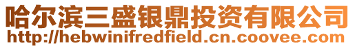 哈爾濱三盛銀鼎投資有限公司