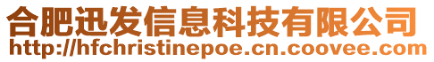 合肥迅發信息科技有限公司