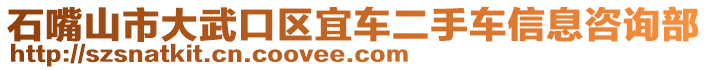 石嘴山市大武口區(qū)宜車(chē)二手車(chē)信息咨詢部