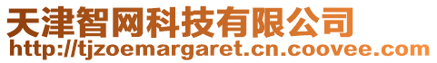 天津智網科技有限公司