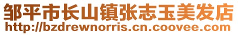 鄒平市長山鎮(zhèn)張志玉美發(fā)店